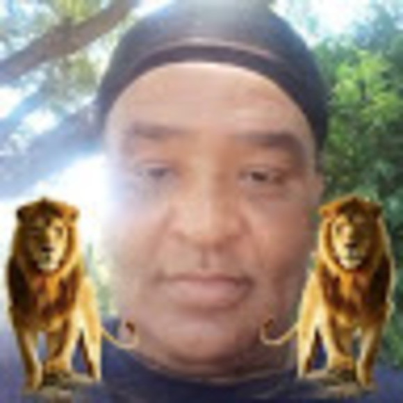 riccdbee